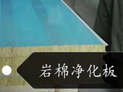 襄陽(yáng)巖棉凈化板